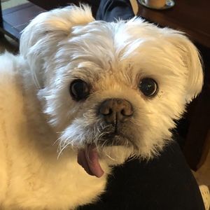 Meet your Posher, Sandra